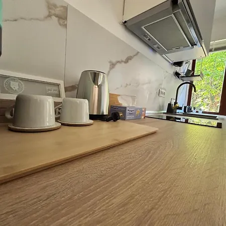 Apartament Smartstay Self Check-in Iulius Mall Timişoara